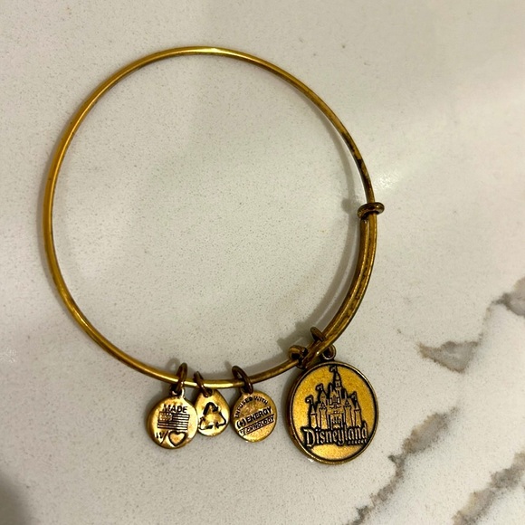 Alex and Ani Disneyland Disney Bangle Bracelet - Picture 1 of 4